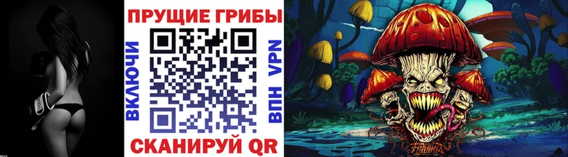 купить наркотик  кракен зеркало  Псилоцибиновые грибы Psilocybine cubensis  Магадан 